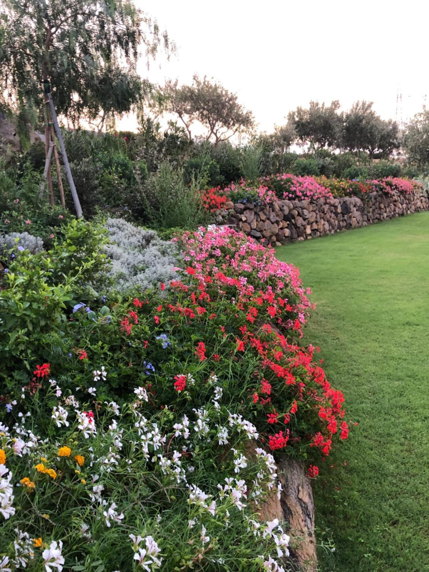 קוליירי Agriturismo S'Ispiga מראה חיצוני תמונה